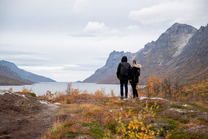 Arctic Fjord Roadtrip with Scenic Picnic from Tromso - Why a roadtrip fjord day beats a bus-plus-boat combo in winter