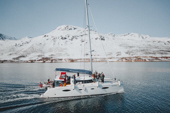 Arctic Fjordcruise & Safari in Tromso with Luxury Catamaran - Luxury catamaran basics, and why it matters in Arctic waters