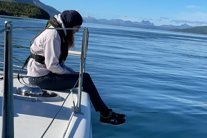 Arctic Fjordcruise & Safari in Tromso with Luxury Catamaran - Stop for wildlife: Rya, currents, birds, and dolphin odds