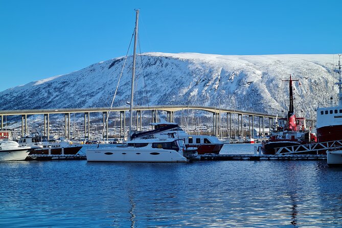 Arctic Fjordcruise & Safari in Tromso with Luxury Catamaran - Snacking, coffee, and WiFi: staying human in the cold