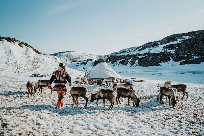 Arctic Fjords and Reindeer Experience – Small group tour - Key highlights you will actually feel