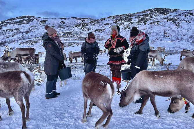 Arctic Fjords and Reindeer Experience – Small group tour - Sommarøy islands: time to walk, not just stare