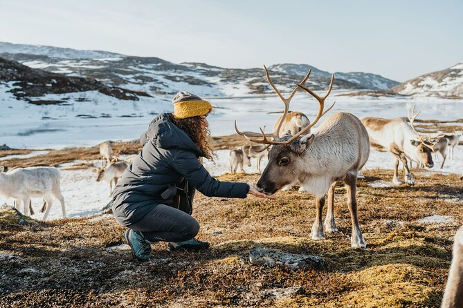 Arctic Fjords and Reindeer Experience – Small group tour - Weather swings are part of the Arctic, so pack for that truth