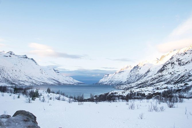 Arctic Fjords Road Trip - Tromsø Fjords driving, wildlife chances, and whale season timing