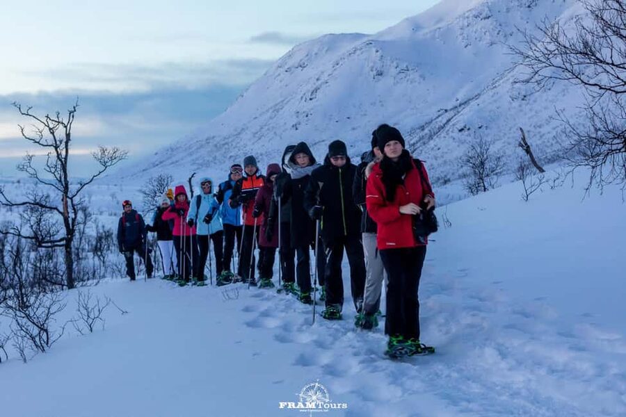Arctic hike on Kvaløya Island with drinks and snacks - Snowshoeing on Kvaløya: pace, stops, and real terrain