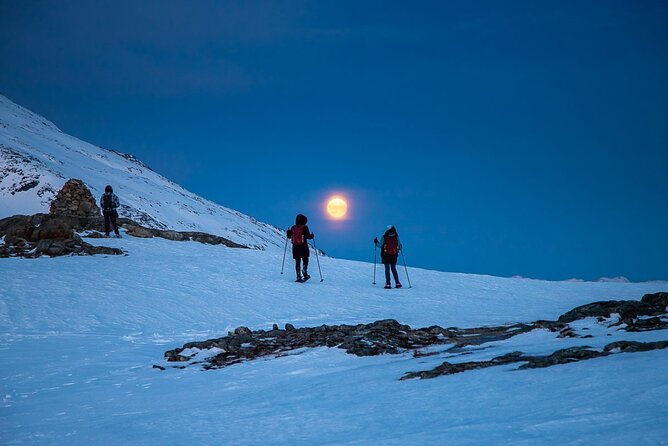 Arctic Landscapes Hiking, Sightseeing & Snowshoeing Private Tour - Tromsø fjords, the easy way to reach the right snowy spots