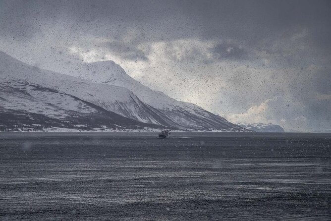 Arctic Landscapes Hiking, Sightseeing & Snowshoeing Private Tour - What to wear and bring so the day stays fun