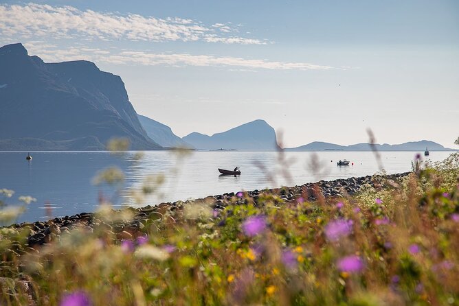Arctic Landscapes Hiking, Sightseeing & Snowshoeing Private Tour - Pickup, timing, and what a private group changes
