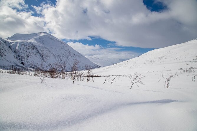 Arctic Landscapes Hiking, Sightseeing & Snowshoeing Private Tour - Who this tour is perfect for in Tromsø winter