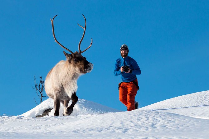 Arctic Nature Photography Sightseeing Tour from Tromso - Key points before you go