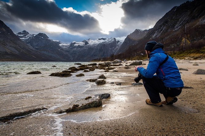 Arctic Nature Tour from Tromsø by minibus - From Magic Ice Bar to the Arctic drive, hour by hour