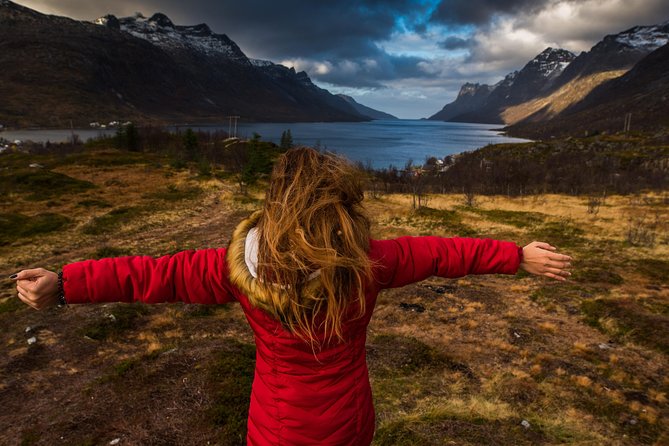 Arctic Nature Tour from Tromsø by minibus - Guides make the difference: stories, Sami culture, and smarter stops
