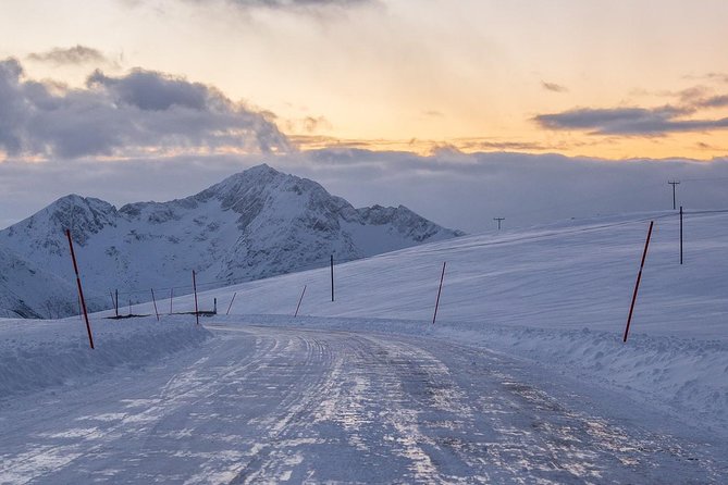Arctic Nature Tour from Tromsø by minibus - Price and value at about $156.55 per person