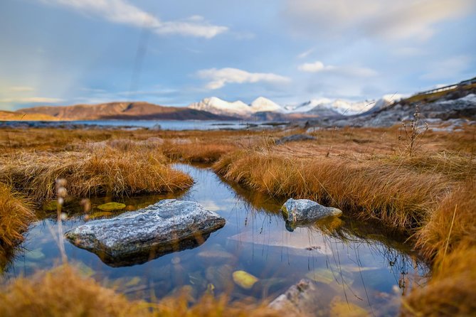 Arctic Nature Tour from Tromsø by minibus - Who this tour is for, and who should think twice