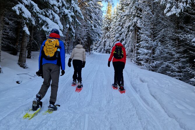 Arctic Snowshoe Hike in Norway - Why Tromsø is such a strong match for snowshoeing
