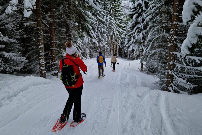Arctic Snowshoe Hike in Norway - What you will likely feel at the turnaround point