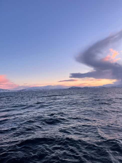 Arctic Whale Watching: Tromsø to Skjervøy in Comfort - Prostneset pickup and the Tromsø to Skjervøy timeline