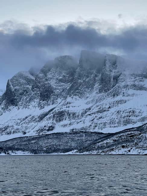 Arctic Whale Watching: Tromsø to Skjervøy in Comfort - What the full day feels like on the water