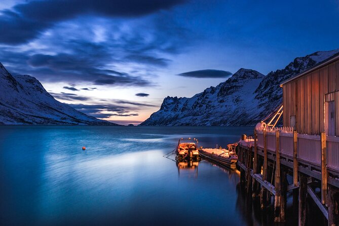 Arctic Wildlife and Fjord Sightseeing - Key things that make this tour worth your time
