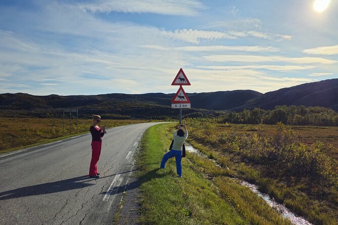 Arctic Wildlife and Fjord Sightseeing - Photo tips that actually help on this route