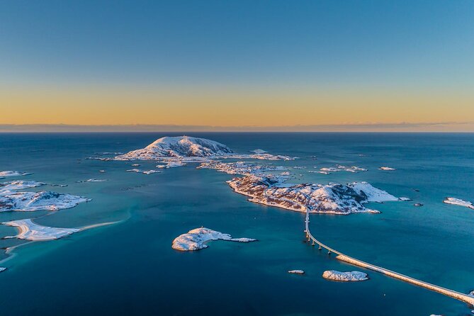 Arctic Wildlife and Fjord Sightseeing - Price and value: what $226.16 buys you