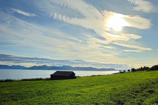Arctic Wildlife and Fjord Sightseeing - If roads close: what to expect for the itinerary