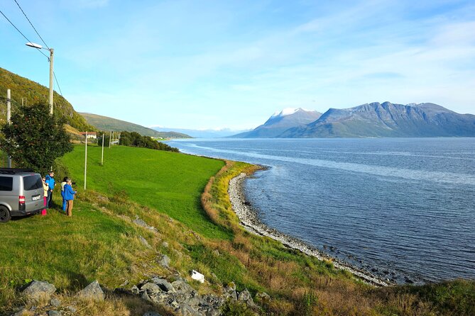 Arctic Wildlife and Fjord Sightseeing - Who should book this Tromsø fjord and wildlife safari