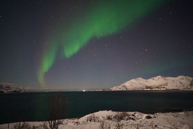 AURORA DAİLY Northern Lights Safari Tour 8 Guests with PİCKUP - Key things that make this Northern Lights safari worth your attention