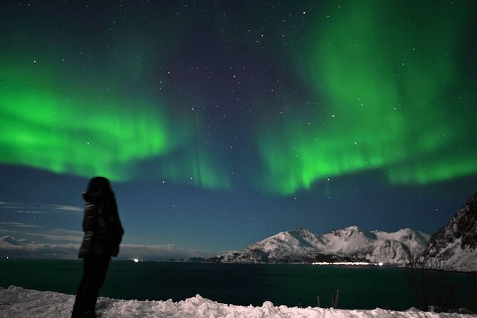 AURORA DAİLY Northern Lights Safari Tour 8 Guests with PİCKUP - What happens after pickup: the real rhythm of an aurora chase