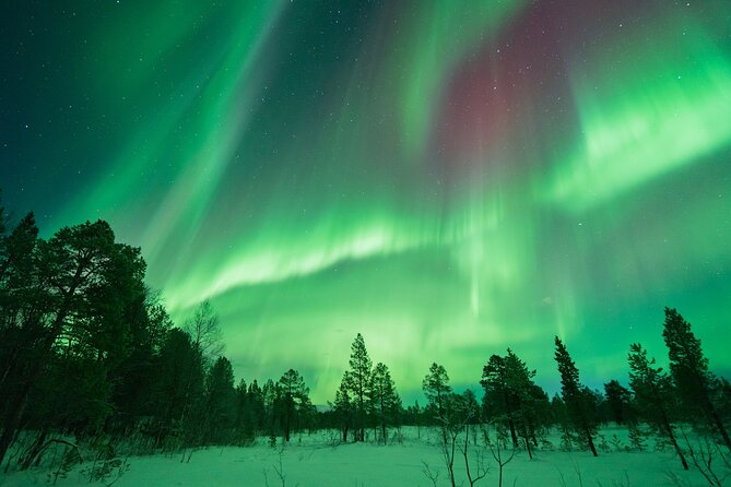 Aurora Hunt with the campfire and professional photographer - Thermal Suit Comfort: What It Means for You
