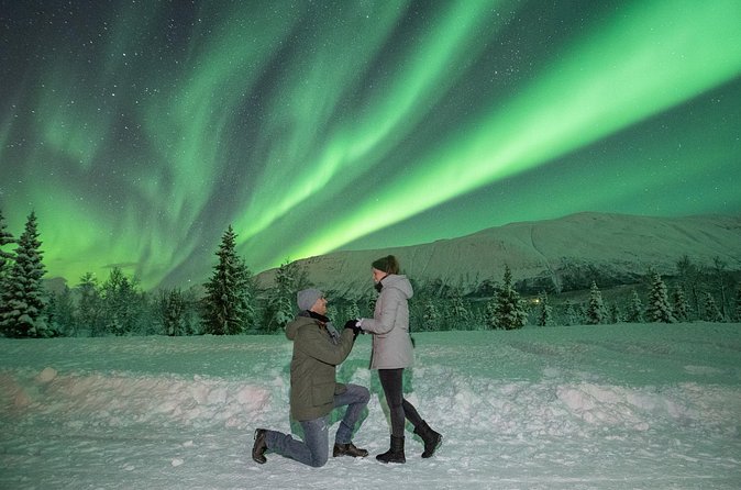 Aurora Safari Chase by big bus, free Photos, toilet onboard - Chasing the lights again: the middle of the night is the money