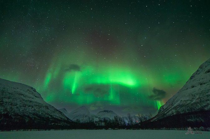 Aurora Safari Minibus, private locations all around the region - Price and value for about $193: what you are paying for