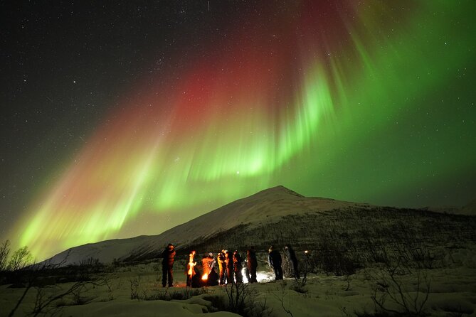 Aurora tour with free portrait and bonfire - Photo Help for Phone and Camera, Plus the Free Portrait