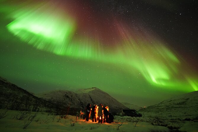 Aurora tour with free portrait and bonfire - Who Should Book This Aurora Tour, and Who Might Want Another Style