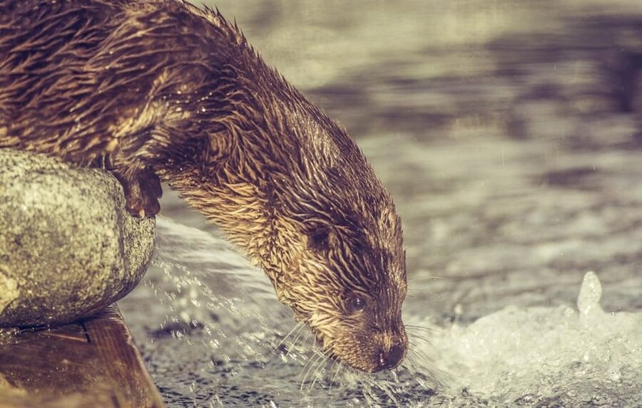 Bergen: Bergen Aquarium Entry Ticket - Quick hits before you go