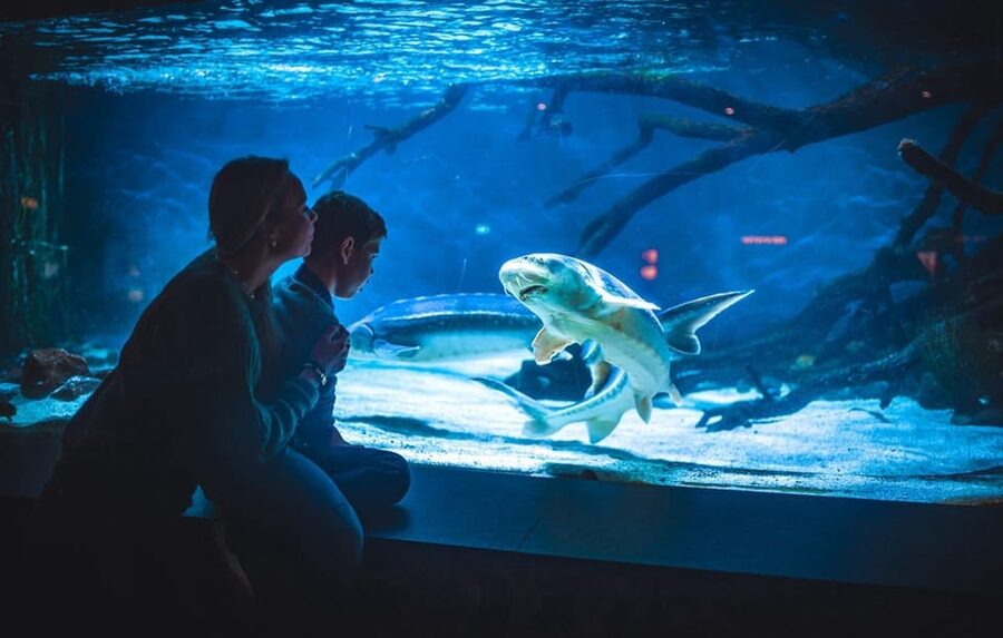 Bergen: Bergen Aquarium Entry Ticket - Feeding moments and presentations: how to plan your day pace