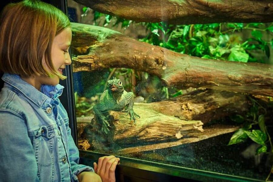 Bergen: Bergen Aquarium Entry Ticket - Price and ticket value for $40 in Bergen