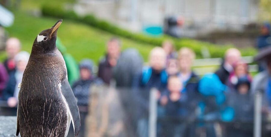 Bergen: Bergen Aquarium Entry Ticket - Opening hours, closures, and when it makes sense to go
