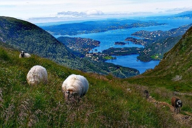 Bergen Classic Private hiking - Vidden Tursti stop, ridge walking that feels local