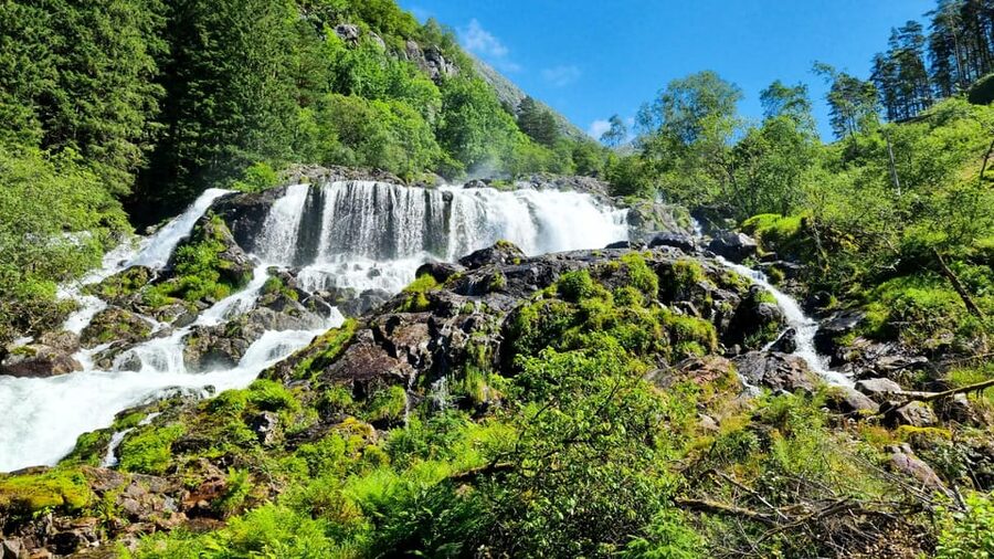 Bergen: Cruise to beautiful Rosendal by the Hardangerfjord - Why this Bergen to Rosendal cruise feels like a local-style day