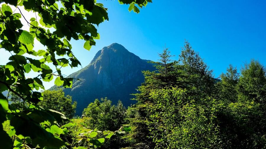 Bergen: Cruise to beautiful Rosendal by the Hardangerfjord - Sjethaug viewpoint hike: best views for people who don’t mind effort