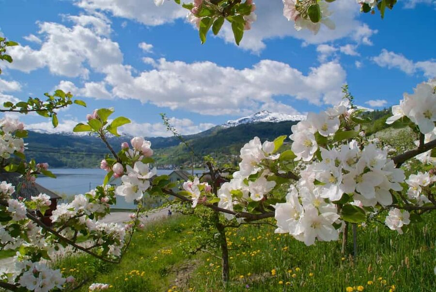 Bergen: Easy Hike to Bondhus Glacier Lake & Rosendal Visit - Why Bondhus Glacier Lake feels like the main event, not the “extra”