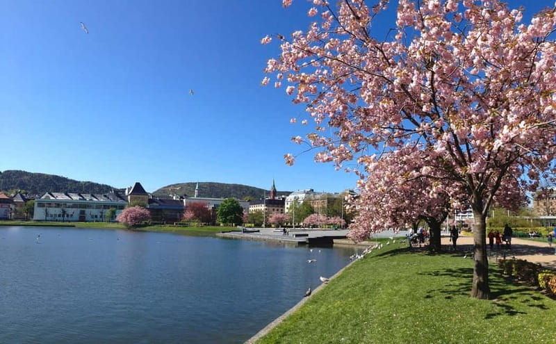 Bergen: Flam Railway, Viking Village Tour with Fjord Cruise - Flåm on Foot: Harbor Houses, Railway Museum, and Local Food Choices