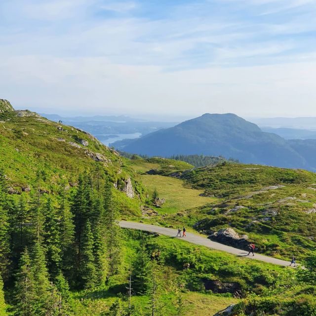 Bergen: Guided mountain hike on top of Bergen - Meeting outside Bergen Tourist Information in Strandkaien 3