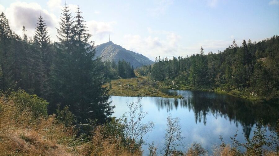 Bergen: Guided mountain hike on top of Bergen - The Fløibanen funicular ride up, and why it changes the hike