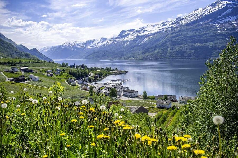 Bergen: Hardangerfjord & Waterfalls Bus Tour with Apple Pie - Who should book this half-day Hardanger tour?