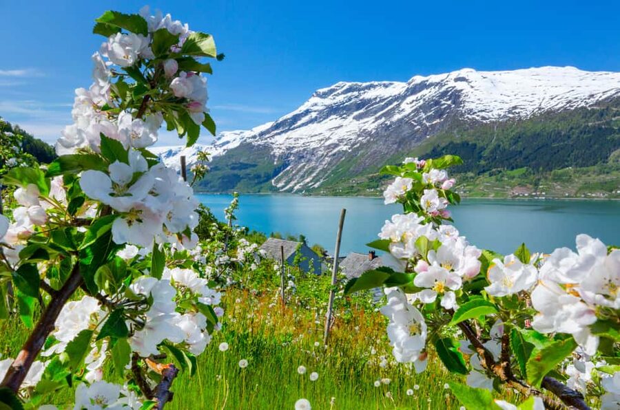 Bergen: Hardangerfjord & Waterfalls Bus Tour with Apple Pie - Strandkaien 17 or the cruise terminal: start on time, stay relaxed