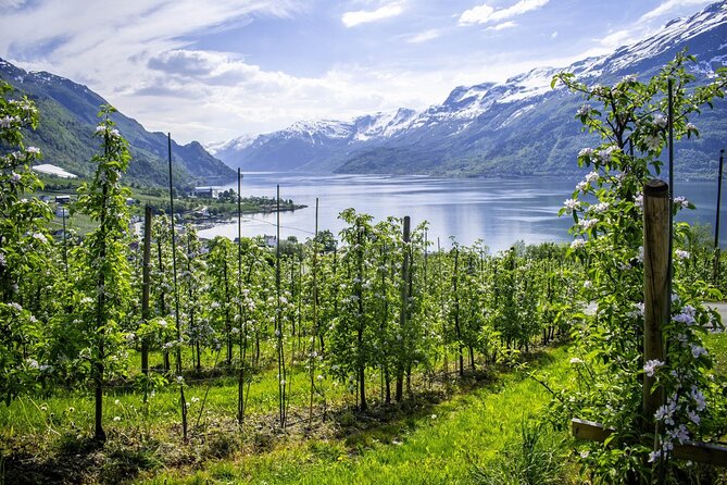 Bergen: Hardangerfjord, Waterfalls, Culture & Apple pie - Hardanger From Bergen: The Osterfjord Start That Sets You Up