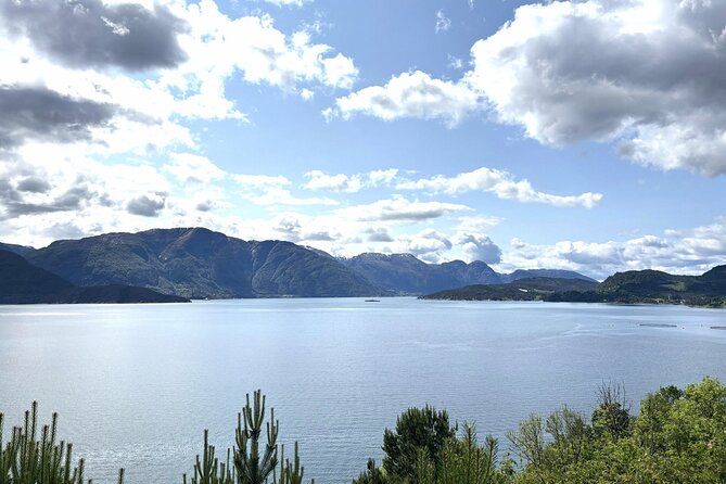 Bergen: Hardangerfjord, Waterfalls, Culture & Apple pie - Stop 3: Salthammeren Stone Age Carvings With Fjord Panoramas