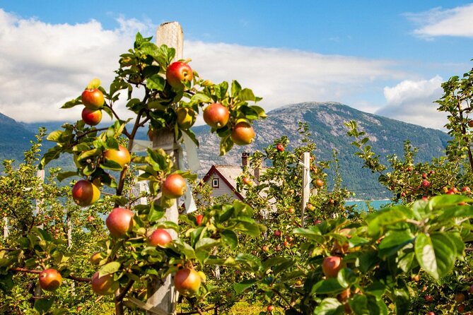 Bergen: Hardangerfjord, Waterfalls, Culture & Apple pie - Stop 5: Steinsdalsfossen Waterfall and the Behind-the-Fall Walk